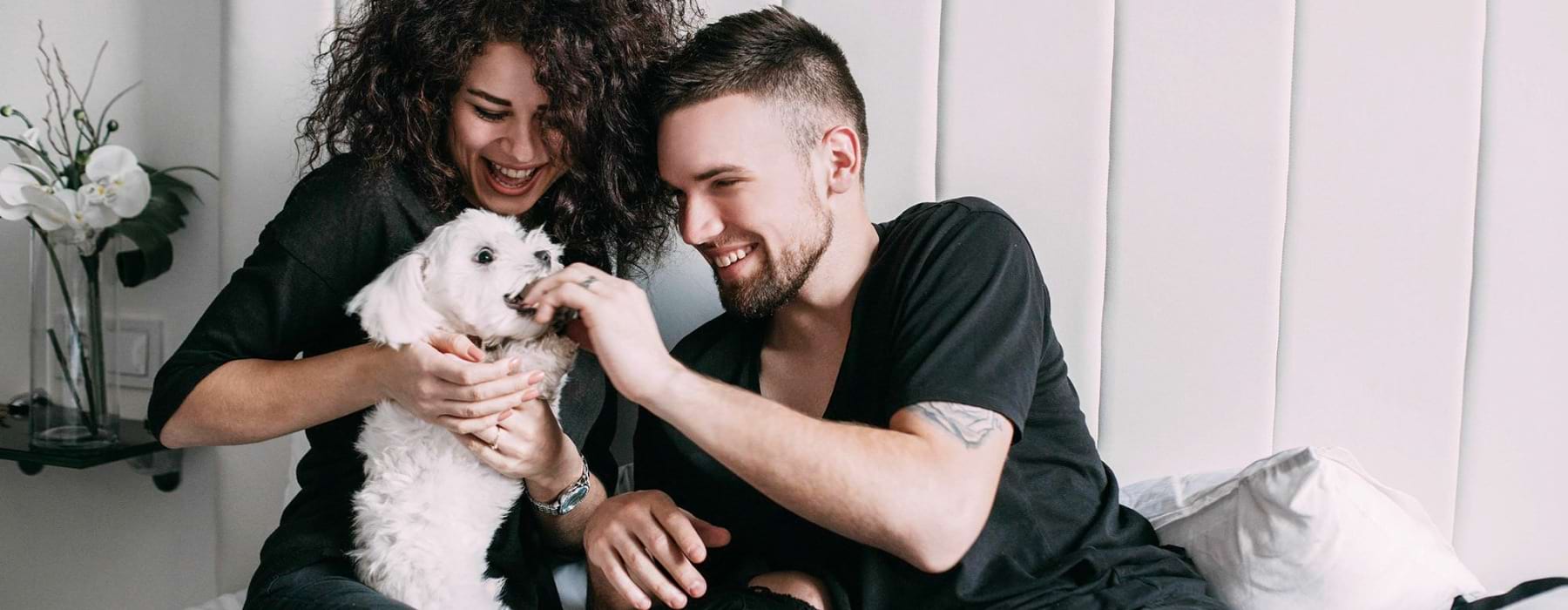 a couple playing with a dog in a bed