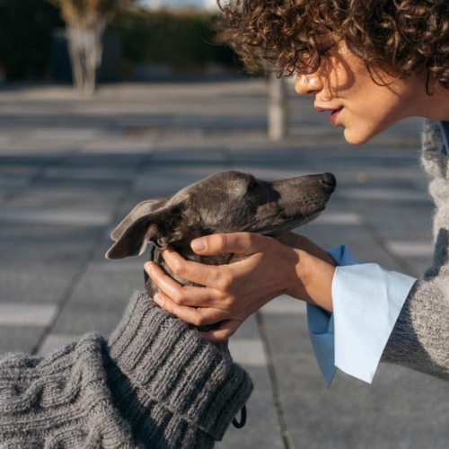 a woman holding a dog